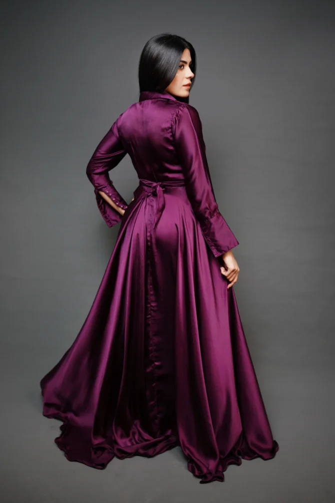 Pure Silk Collar V Neck Long Dress - Image 3